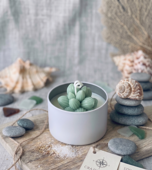 Sage Cluster Succulent Candle