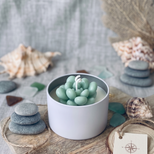 Seafoam Bubble Succulent Candle