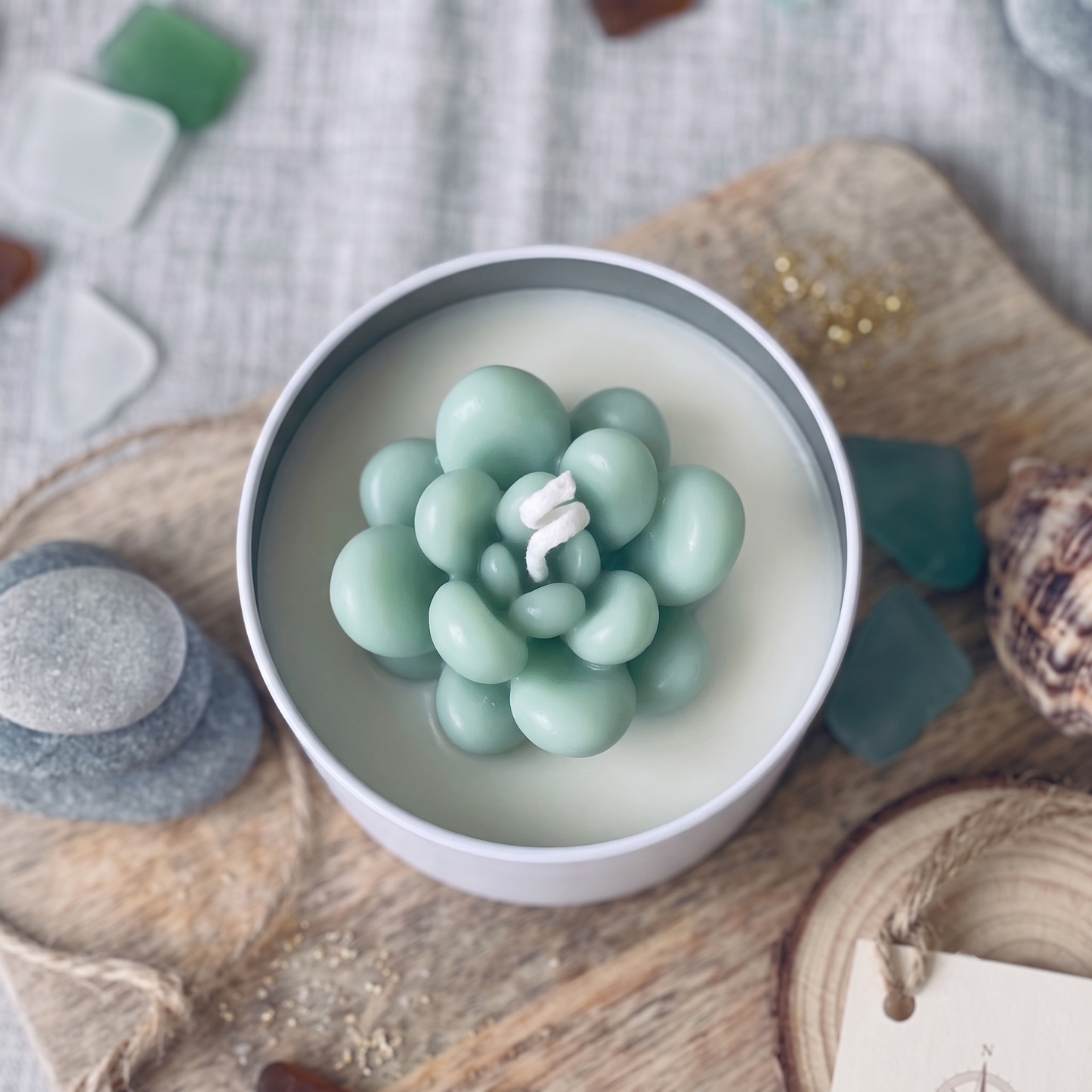 Seafoam Bubble Succulent Candle